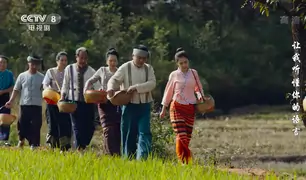 Best Dai Movies You Should Watch: A Journey into Dai Cinema