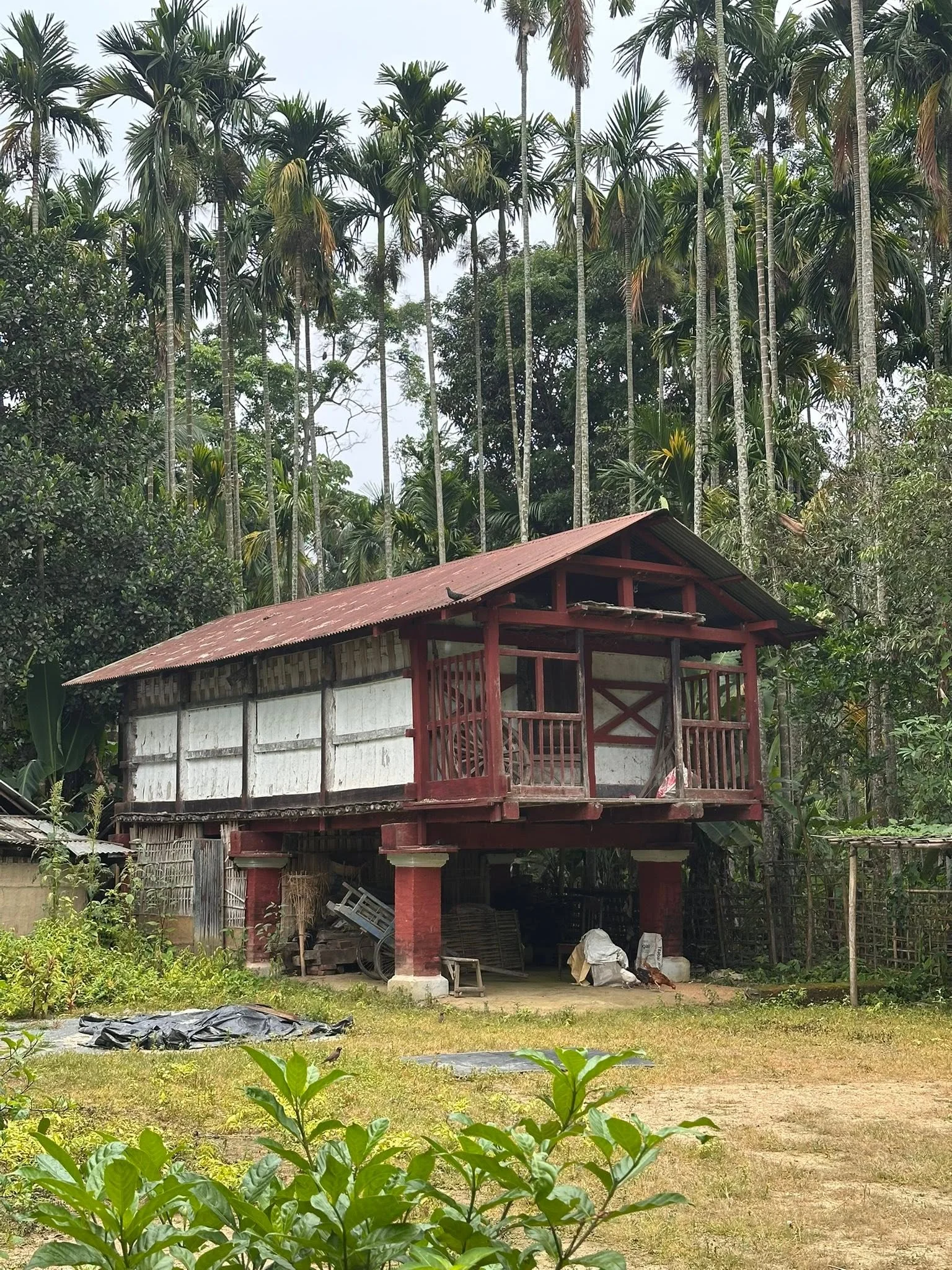 Traditional Silt Houses in Rajapukhuri Shyam Village, Golaghat