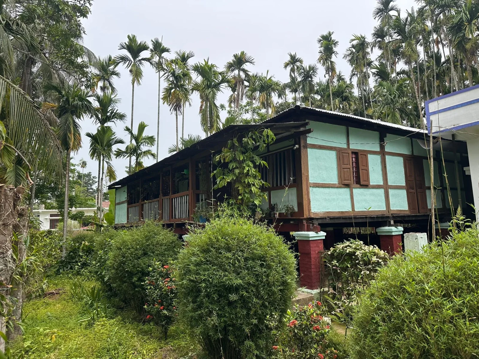 Traditional Silt Houses in Rajapukhuri Shyam Village, Golaghat
