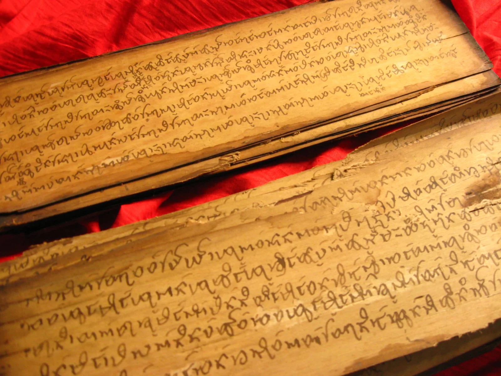 Glimpse of Tai-Kadai Manuscripts
